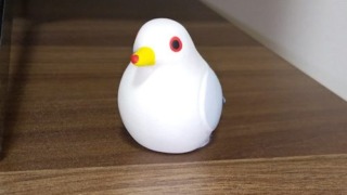 八戸のウミネコ